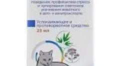Заспокійливі для котів: які препарати і коли можна використовувати